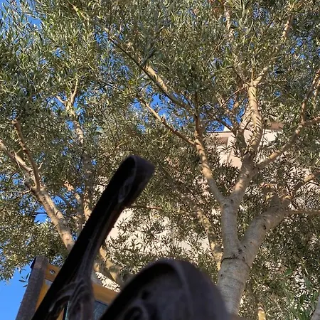 Apartment Theros Bibinje