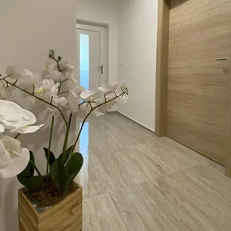 Theros Apartament Bibinje