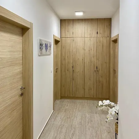 Theros Apartament Bibinje