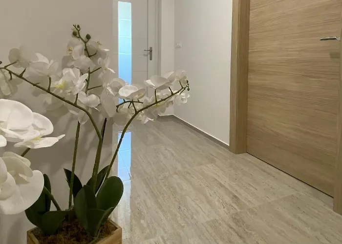 Theros Apartman Bibinje