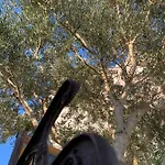 דירה Theros ביבינייה